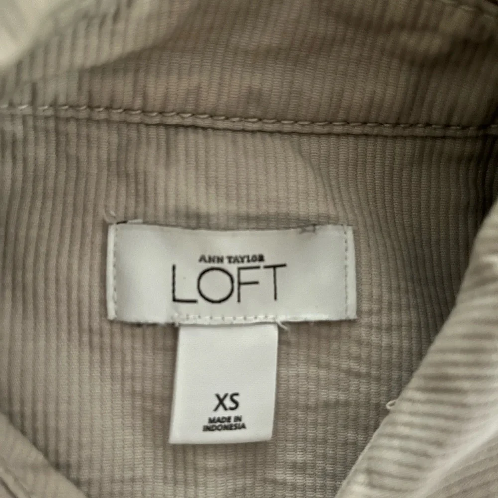 LOFT ann taylor